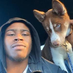 Meet your Posher, Senior